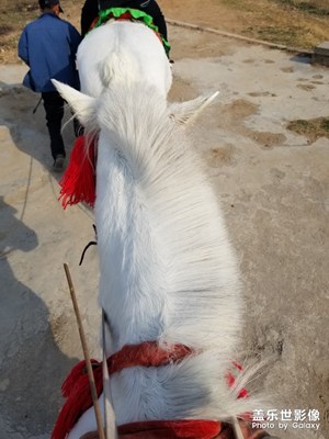 【在路上】+騎馬下山