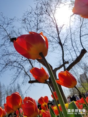 四月的風，青島的風還是挺大??????