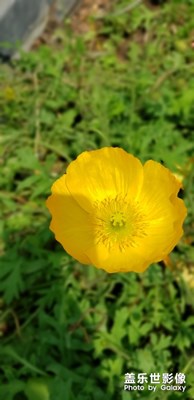 城市的夜晚…每天都在發(fā)生新的故事