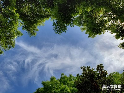 今天天氣好，藍(lán)天白云?。。?！