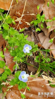 【在路上】+中午吃飯的小路