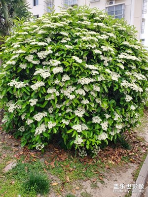 三星手機(jī)????????????????