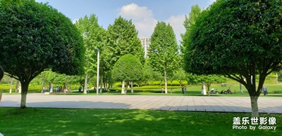 年復一年、日復一日……