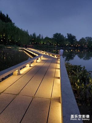 就是沒有夏雨荷。