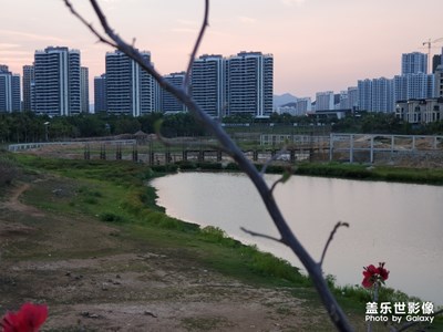 高園水庫（二）