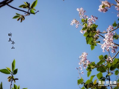 燃燒我的卡路里