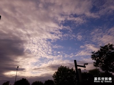 【不負(fù)好春光】+愛拍自然和伙伴
