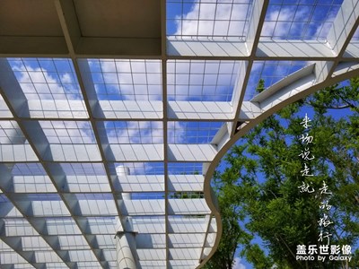 在路上+信馬由韁