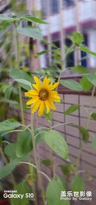 拍出美麗好心情