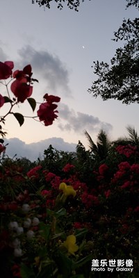 萬科湖畔度假公園