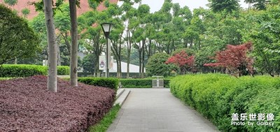 武漢首義廣場小景