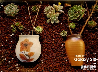 【玩轉(zhuǎn)五一】三坊七巷  三