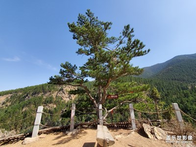 【玩轉五一】+賀蘭山蘇峪口國家森林公園
