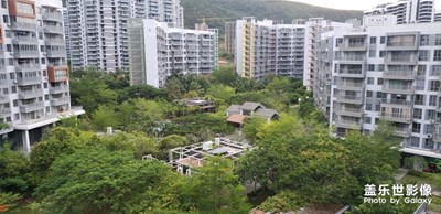 園區(qū)的傍晚