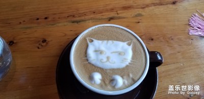 貓