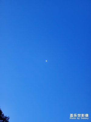皎月