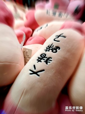 【初夏印象】娃娃，兒時的玩伴