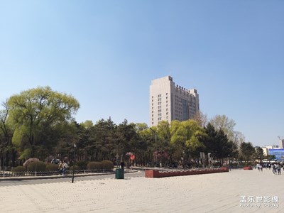 一夢兩三年 匆匆又夏天