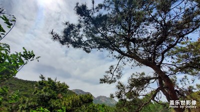 山前聽松風(fēng)