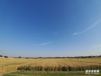 拍照大愛啊，廣角特別喜歡