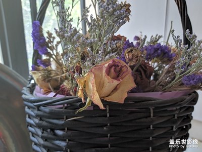 今早a60用谷歌相機(jī)拍的