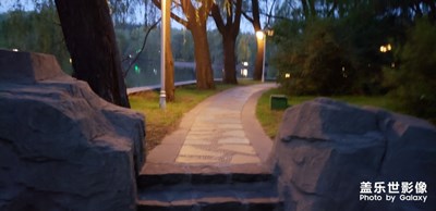 拱橋，柳樹，小路，