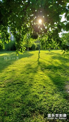 更新后，照片（我指的占用內(nèi)存）都比較大。