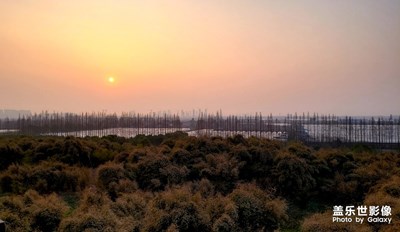 武漢農(nóng)耕年華隨手拍