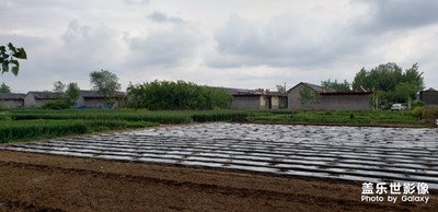 【美麗家園】+故鄉(xiāng)