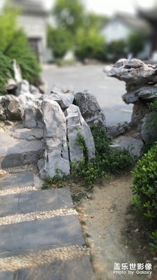 A8s鏡頭下的香山