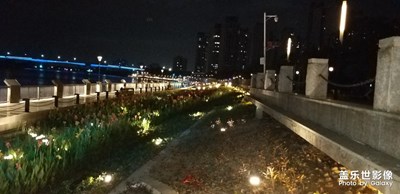 【走進(jìn)夏天】+夏天江邊夜景很美