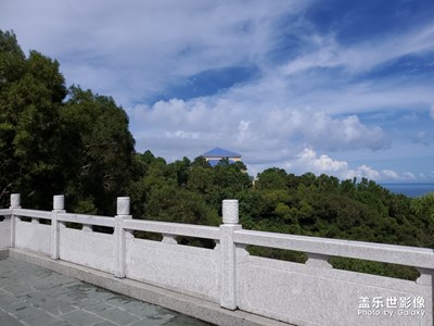 隨手拍