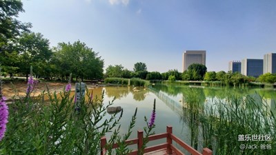 曬一組隨手拍的照片，大家看看咋樣？有毛病沒？