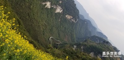 雖然已經(jīng)過了油菜花的季節(jié)，但是還是分享給大家