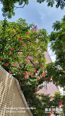 A60拍的經(jīng)典