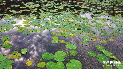 【走進(jìn)夏天】+景致