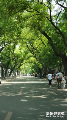 初夏的南池子大街