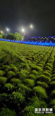 夏夜的寧靜