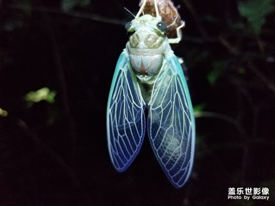 最美的風(fēng)景