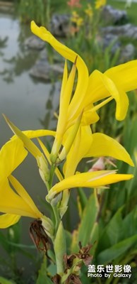 近距離隨拍……