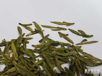 高山龍井茶，茶農(nóng)自產(chǎn)自銷！