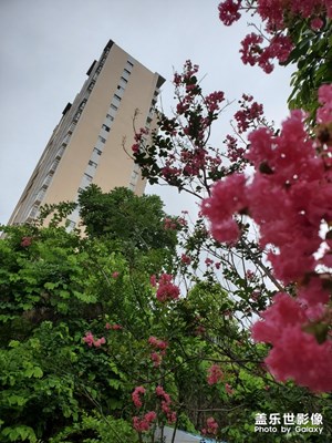 【盛夏光年】+盛夏小區(qū)