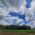 廣角的魅力我也喜歡，……