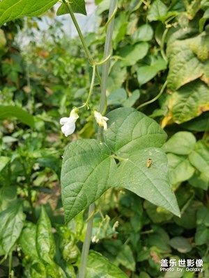 【回首尋美之路】+ S7里的風(fēng)景