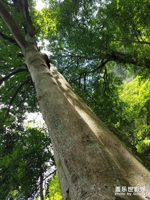 【回首尋美之路】+我的尋美之路