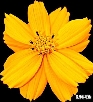 這個(gè)，我覺(jué)得三星做的還是不錯(cuò)的