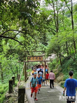 【回首尋美之路】+風(fēng)光尋美之路