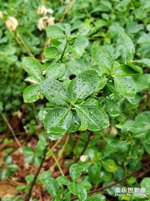 【回首尋美之路】+記錄身邊的美