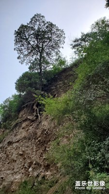 根深蒂固