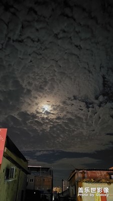 小試夜拍